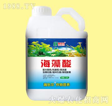 ������-嫘���