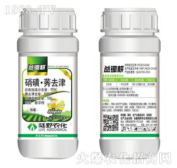 55%���ǡ�ݬȥ��Ҹ�