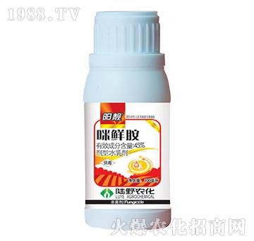 45%���r��ˮ�鄩-��n-�Ұ�r(n��ng)��