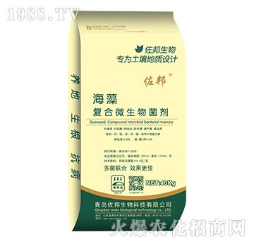 ����ͺ�΢�������-����