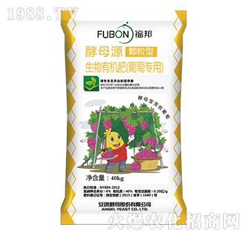 ���ь��������ЙC��-����-����