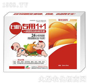 �׷ی���1+1-���S��-��ķɭ