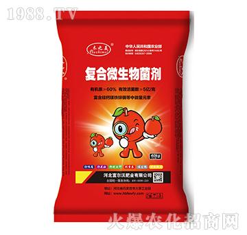 �ͺ�΢�������-������