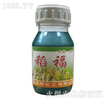 ������ƿ��-�ذ�Ȫ