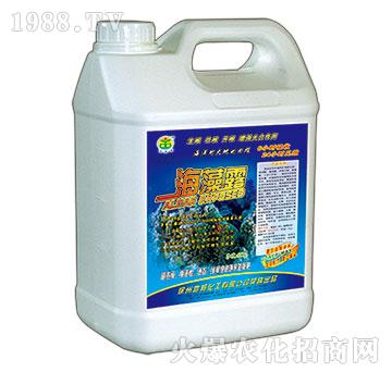 ����¶-�ذ�Ȫ