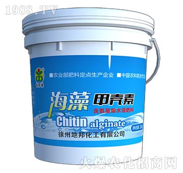 ����ך���-�ذ�Ȫ