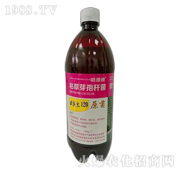 �ݲ�ѿ�ߗU��-���t(y��)��120-������-�ο�ֲ��