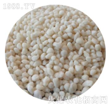 �������ጵ���