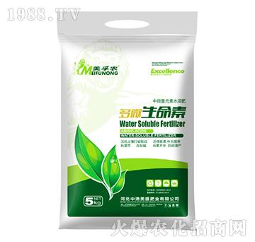 ��΢������