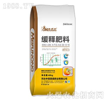 �����r��ጷ���26-1