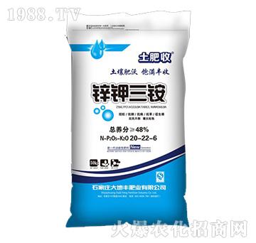 �\�����20-22-6-����S