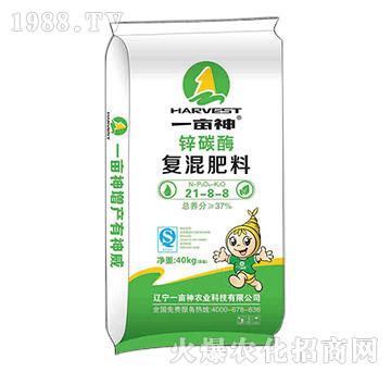 �\̼ø�ͻ��21-8-8-һ����