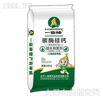 ̼ø���}΢�������-һ����