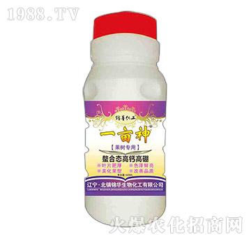 ����(sh��)��(zhu��n)�����ϑB(t��i)���}����