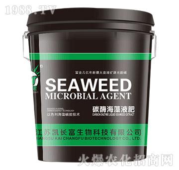 ̼ø����Һ�ʣ��G��-�P�L(zh��ng)��