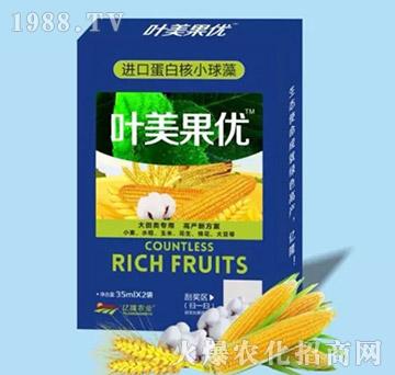 ��������{(di��o)��(ji��)��-�~������(y��u)-�|¡�r(n��ng)�I(y��)