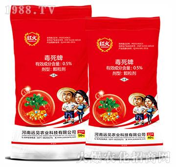 ��������ˎ��-0.5%������-�hҊ�r�I(y��)