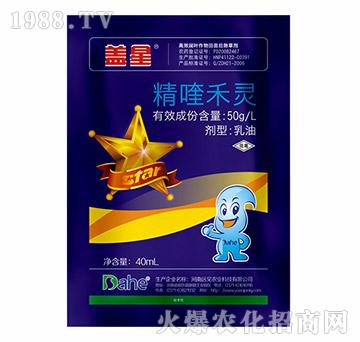 ��୺��`-�w��-�hҊ�r(n��ng)