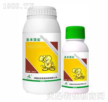 10.8%��Ч�����׺�