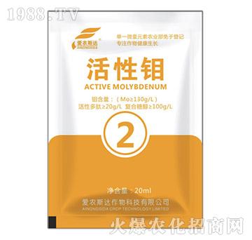 �����f-��(��i)�r(n��ng)˹�_(d��)