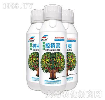 ��⛸��׿����`-��ϱ�D-��(��i)�r(n��ng)˹�_(d��)