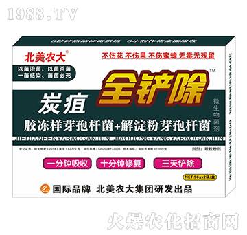 ̿��-ȫ�P��-�����r(n��ng)��