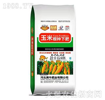 ���׸��N�·�28-6-6-��ţ�ʘI(y��)