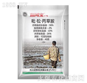 38%�����ɡ����ݰ�-ֱ�]��2̖-��Ѹ