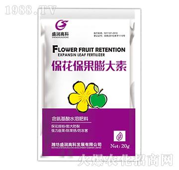 �������������-ʢ���߿�