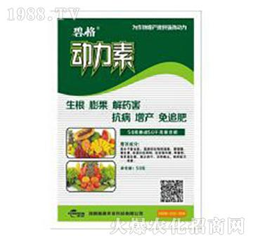 50�˄�����-�̸�-�ɭ�r(n��ng)�I(y��)