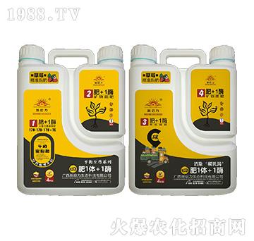 ��ݮ���ã�ƽ������-��1�w+1ø-����