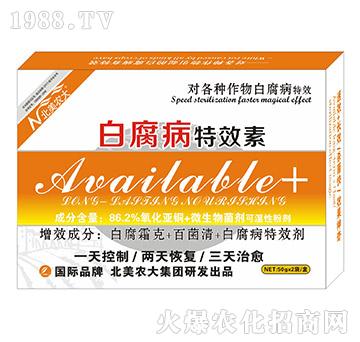 �׸�����Ч��-�����r��