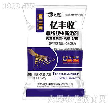 ���Y(ji��)���x(ch��ng)���΄�-�|�S��-����̩