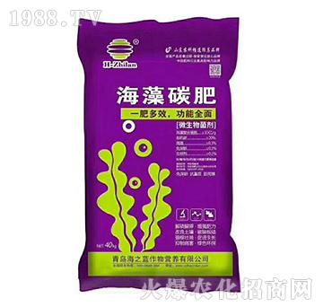 ����̼��-��֮�{(l��n)