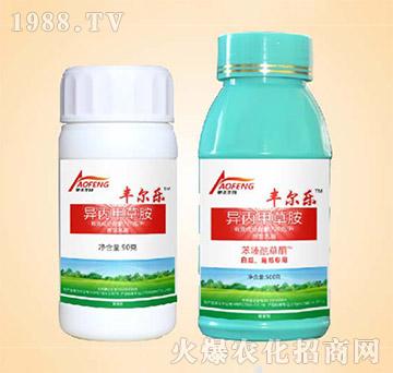 �����ײݰ�-�S����-ͬ�S