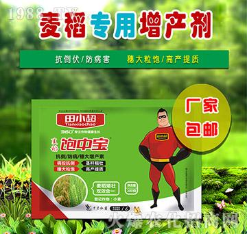 100g������Ќ�-��С��