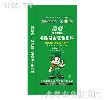 �������Ϗ�(f��)�Ϸ���25-