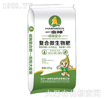 ̼ø���Ϗ�(f��)��΢�����-