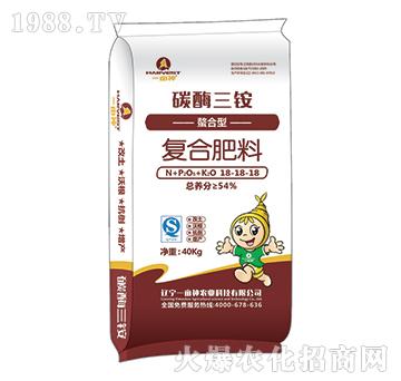 ̼ø���@�����͏�(f��)�Ϸ���18-18-18-һ����