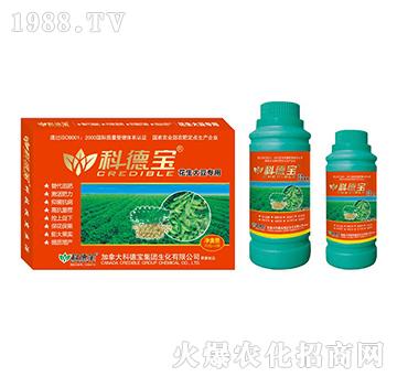 �����󶹌��àI�B(y��ng)���a(ch��n)�{(di��o)