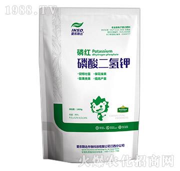 ��������-�׼t-��(��i)�r(n��ng)˹�_(d��)