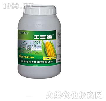 55%�ҡ�ݬ��+������-���˰ل�