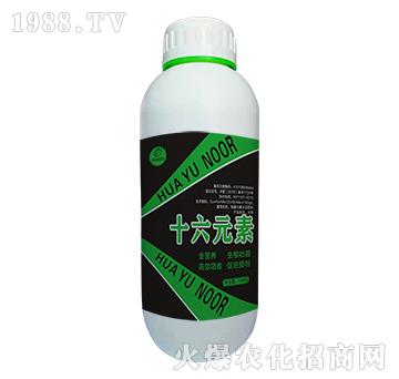 ʮ��Ԫ��-�Z��