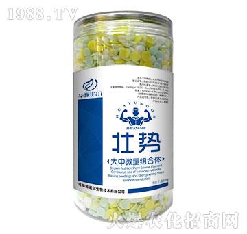 ����΢���M���w-�ф�-��350g��-�Z��