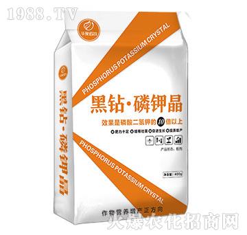 ���@����⛾�-�Z��