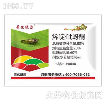 80%ϩड�����ͪ-�滯�J��-�滯���h