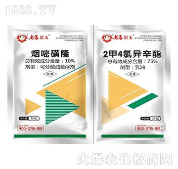 10%���׻�¡+75%2��4�Ȯ�����-���R����-�����r�I(y��)