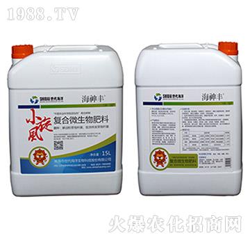 �ͺϷ�΢�������-С���L-�ι���