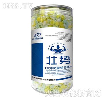 ����΢���M���w-�ф�(sh��)-�Z��