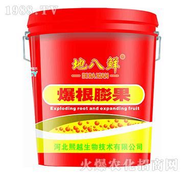 �������-�ذ��r-��Խ����